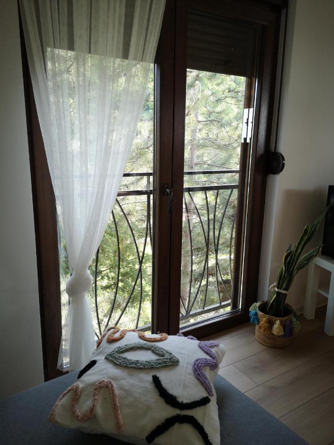 Apartman Snezana Jugovo スメデレヴォ エクステリア 写真